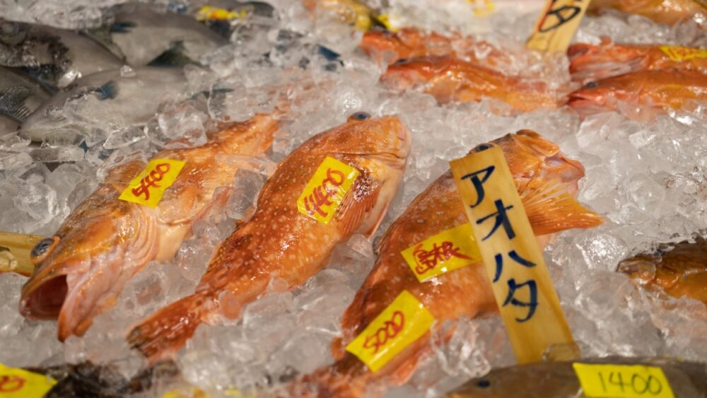 鮮魚店に並ぶ魚